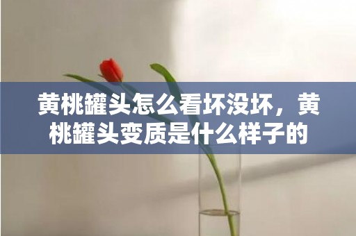黄桃罐头怎么看坏没坏，黄桃罐头变质是什么样子的