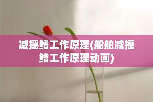 减摇鳍工作原理(船舶减摇鳍工作原理动画)
