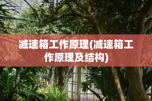 减速箱工作原理(减速箱工作原理及结构)