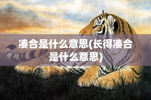 凑合是什么意思(长得凑合是什么意思)