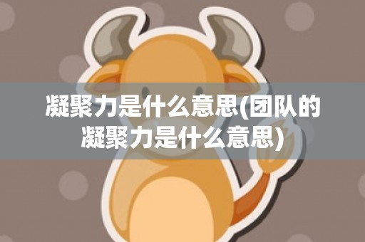 凝聚力是什么意思(团队的凝聚力是什么意思)