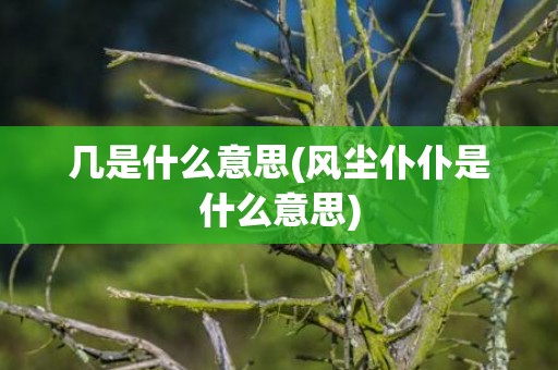 几是什么意思(风尘仆仆是什么意思)