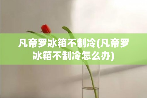 凡帝罗冰箱不制冷(凡帝罗冰箱不制冷怎么办)