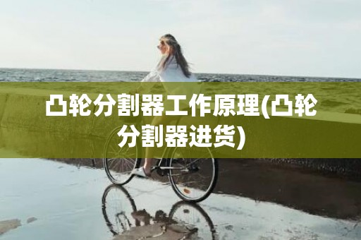 凸轮分割器工作原理(凸轮分割器进货)