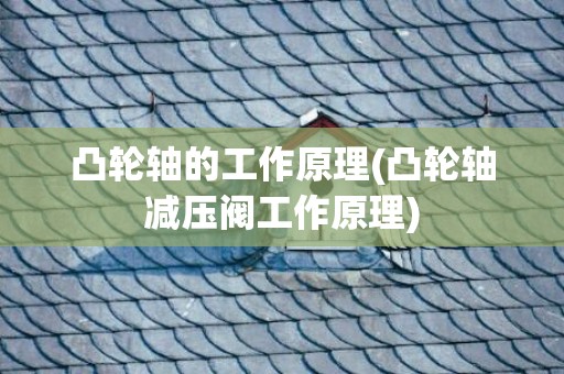 凸轮轴的工作原理(凸轮轴减压阀工作原理)