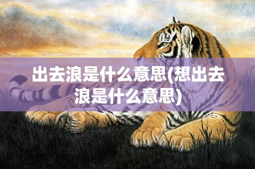 出去浪是什么意思(想出去浪是什么意思)