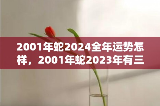2001年蛇2024全年运势怎样，2001年蛇2023年有三喜
