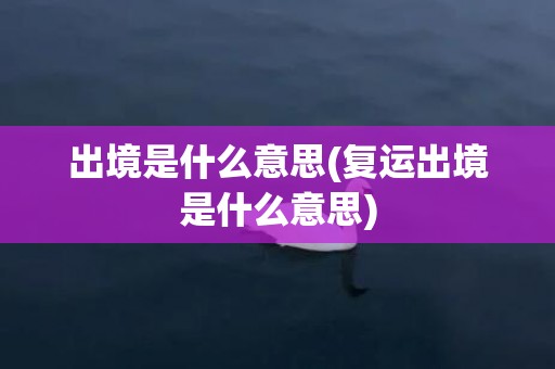 出境是什么意思(复运出境是什么意思)