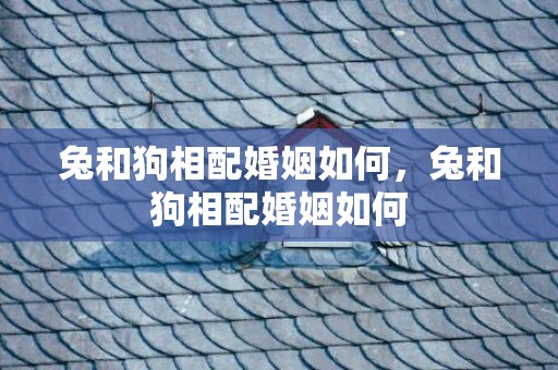 兔和狗相配婚姻如何，兔和狗相配婚姻如何