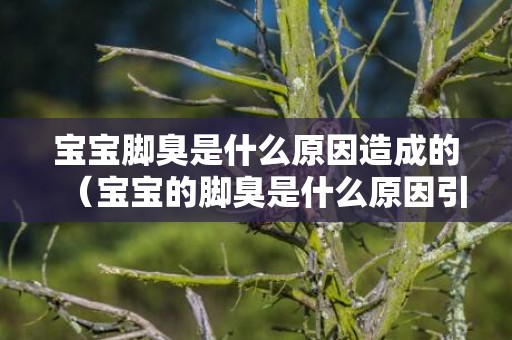 宝宝脚臭是什么原因造成的（宝宝的脚臭是什么原因引起的）