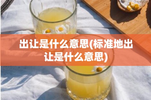 出让是什么意思(标准地出让是什么意思)