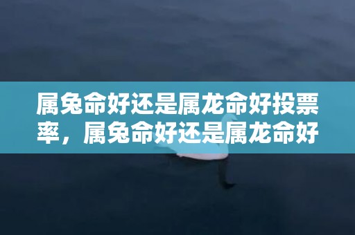 属兔命好还是属龙命好投票率，属兔命好还是属龙命好