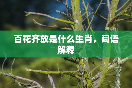 百花齐放是什么生肖，词语解释