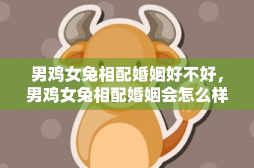男鸡女兔相配婚姻好不好，男鸡女兔相配婚姻会怎么样