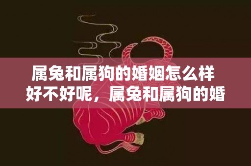 属兔和属狗的婚姻怎么样 好不好呢，属兔和属狗的婚姻如何