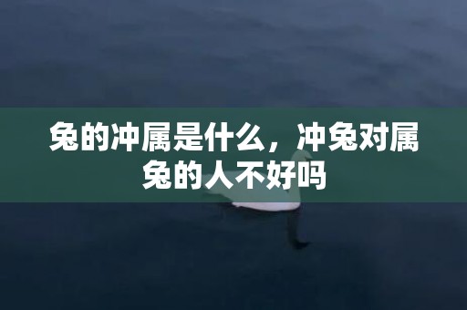 兔的冲属是什么，冲兔对属兔的人不好吗