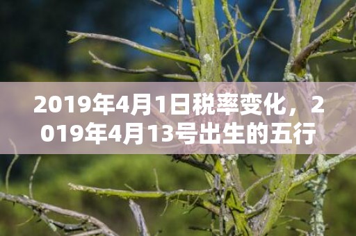 2019年4月1日税率变化，2019年4月13号出生的五行缺木女宝宝有哪些好名参考