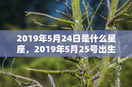 2019年5月24日是什么星座，2019年5月25号出生的女宝宝五行缺火要怎么起名字