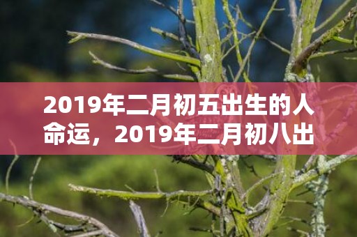 2019年二月初五出生的人命运，2019年二月初八出生的双胞胎女孩怎么样起名字