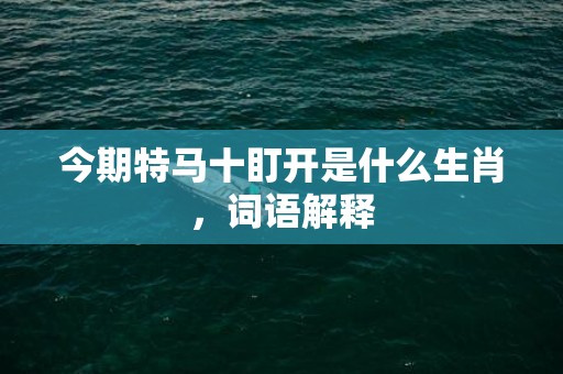 今期特马十盯开是什么生肖，词语解释