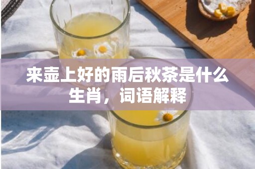 来壶上好的雨后秋茶是什么生肖，词语解释