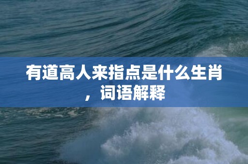 有道高人来指点是什么生肖，词语解释