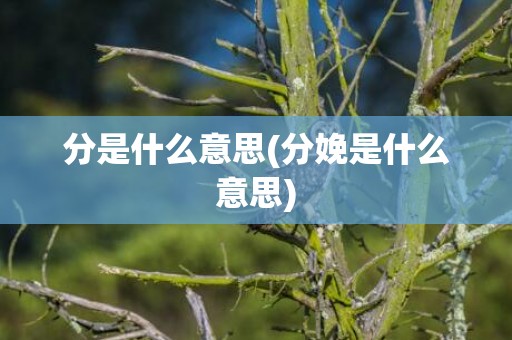 分是什么意思(分娩是什么意思)