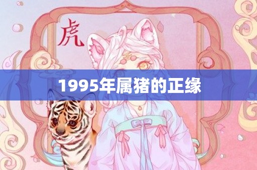 1995年属猪的正缘
