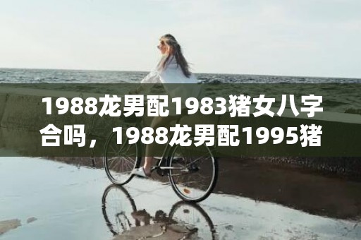 1988龙男配1983猪女八字合吗，1988龙男配1995猪女八字合吗