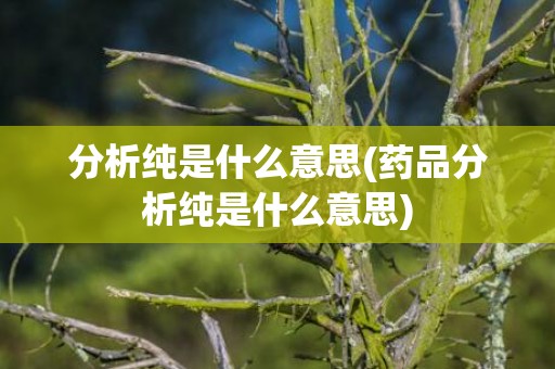 分析纯是什么意思(药品分析纯是什么意思)