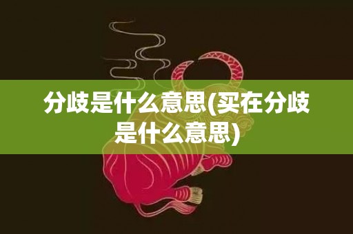 分歧是什么意思(买在分歧是什么意思)