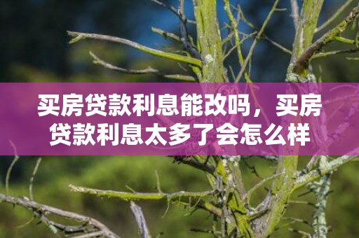 买房贷款利息能改吗，买房贷款利息太多了会怎么样