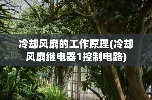 冷却风扇的工作原理(冷却风扇继电器1控制电路)