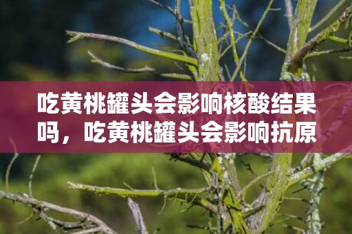 吃黄桃罐头会影响核酸结果吗，吃黄桃罐头会影响抗原结果吗