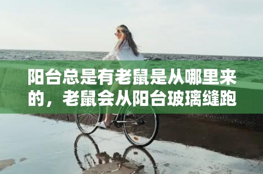 阳台总是有老鼠是从哪里来的，老鼠会从阳台玻璃缝跑出来吗