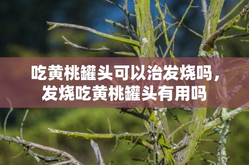 吃黄桃罐头可以治发烧吗，发烧吃黄桃罐头有用吗