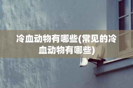冷血动物有哪些(常见的冷血动物有哪些)
