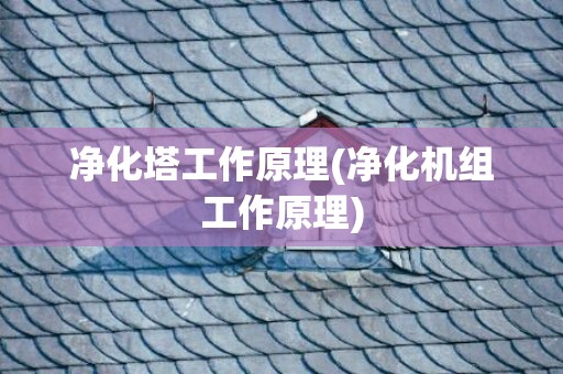 净化塔工作原理(净化机组工作原理)