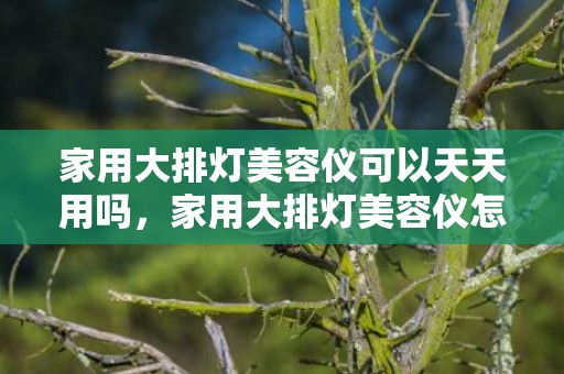 家用大排灯美容仪可以天天用吗，家用大排灯美容仪怎么使用效果好