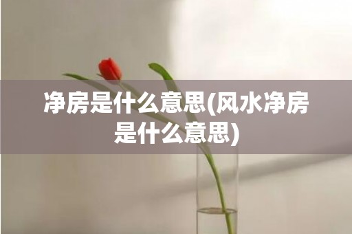 净房是什么意思(风水净房是什么意思)