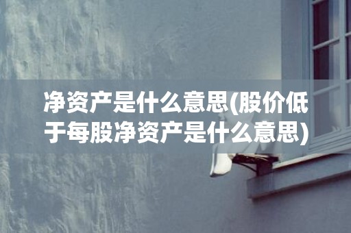净资产是什么意思(股价低于每股净资产是什么意思)