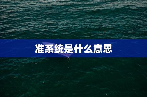 准系统是什么意思
