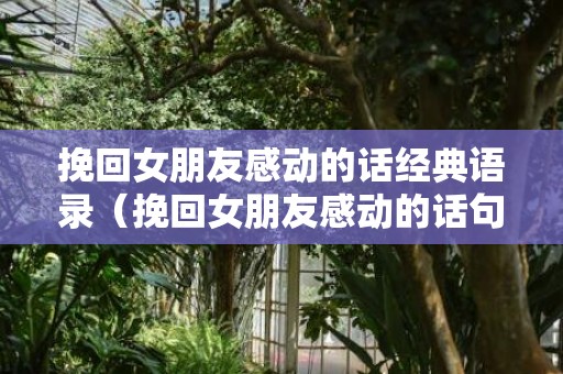 挽回女朋友感动的话经典语录（挽回女朋友感动的话句子）