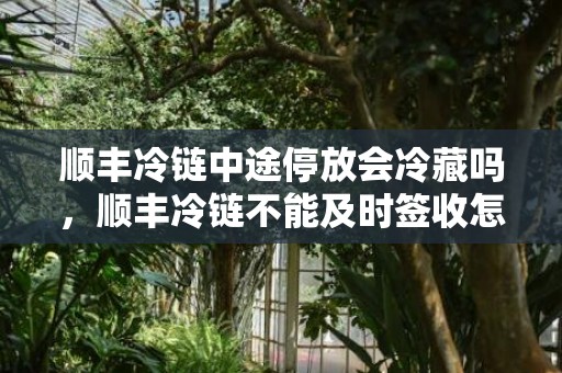 顺丰冷链中途停放会冷藏吗，顺丰冷链不能及时签收怎么办