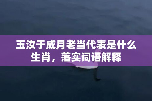 玉汝于成月老当代表是什么生肖，落实词语解释