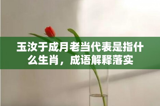 玉汝于成月老当代表是指什么生肖，成语解释落实