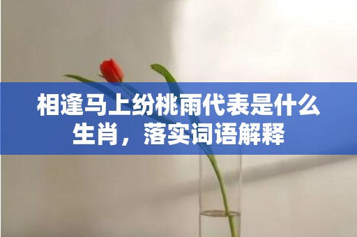 相逢马上纷桃雨代表是什么生肖，落实词语解释