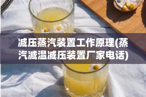 减压蒸汽装置工作原理(蒸汽减温减压装置厂家电话)