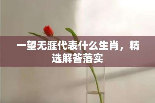 一望无涯代表什么生肖，精选解答落实