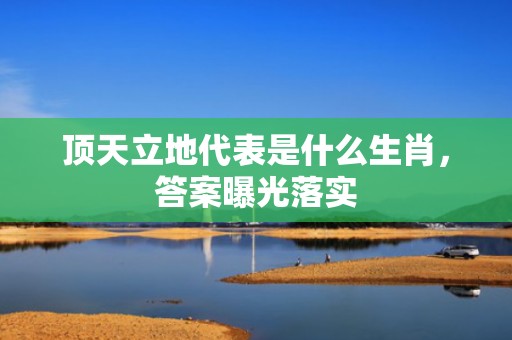顶天立地代表是什么生肖，答案曝光落实
